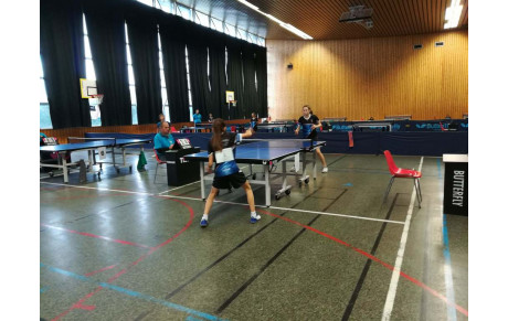 Finales Rhône-Lyon MCJ - une pluie de médailles pour le TTG